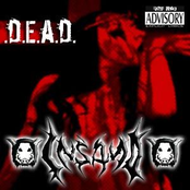 Insan0 & Dead