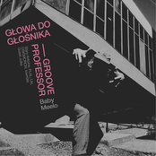 głowa do głośnika