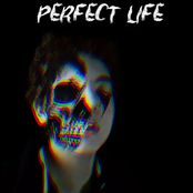 Perfect Life