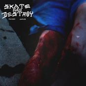 SKATE AND DESTROY