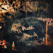 there are wolves here