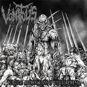 Deranged Entanglement Of Severed Heads by Vomitous