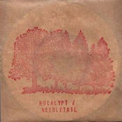 Eucalypt/Needletail Split