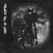 Night of the Cryptids