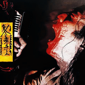 Voodoo Kungfu
