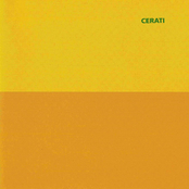 Amor Amarillo