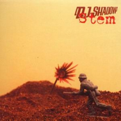 Red Bus Needs To Leave! by Dj Shadow