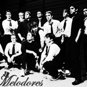 vanderbilt melodores