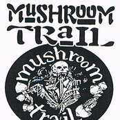 Mushroom Trail