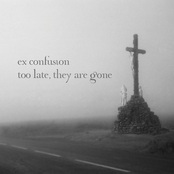 Asking You Why by Ex Confusion