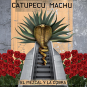 Musas by Catupecu Machu