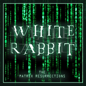 White Rabbit (From 'The Matrix Resurrections' Trailer) [Epic Version]
