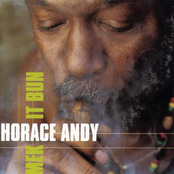 Night Nurse by Horace Andy