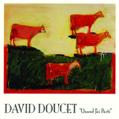 T'en As Eu by David Doucet