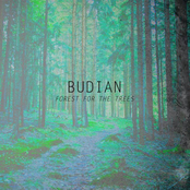 Forest for the Trees