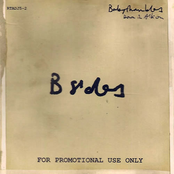 Why Did You Break My Heart / Piracy by Babyshambles