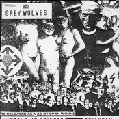 Beyond Hypocrisy by The Grey Wolves