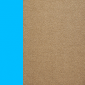 Picture Perfect / Charlie Murphy