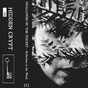 Reflections in the Wood