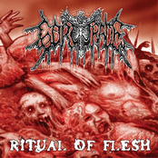 Ritual of Flesh