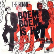 the ronnies