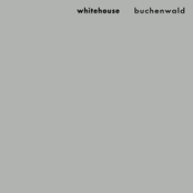 Buchenwald