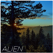 Alien (feat. Veela) - Single