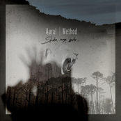 In Lonesome Winter Forest by Aural Method