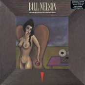 Watching My Dream Boat Go Down In Flames by Bill Nelson