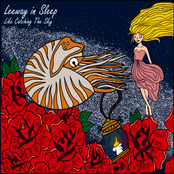 Like Catching The Sky