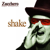 Shake by Zucchero