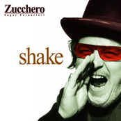 Music In Me by Zucchero