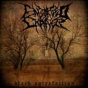 Black Putrefaction [EP]