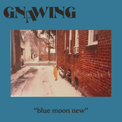 Blue Moon New