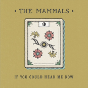 If You Could Hear Me Now