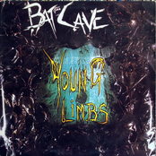 Bat Cave: Young Limbs And Numb Hymns