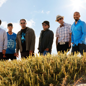 ozomatli