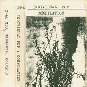 Individual Pop Compilation