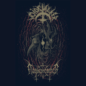 Voidstalker / Plaguepreacher