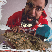 CATNIP