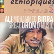 Éthiopiques 28: Great Oromo Music