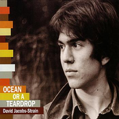 David Jacobs-Strain: Ocean Or A Teardrop