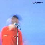 the gyres