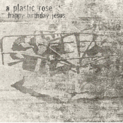 Promise by A Plastic Rose