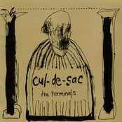 Blistering Heart by The Terminals