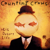 Counting Crows: This Desert Life