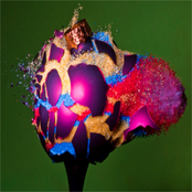 Give The Gift Of Gag