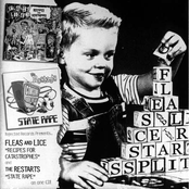 Fleas and Lice - The Restarts Split