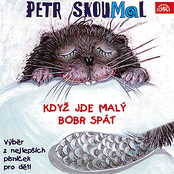 Pejsek A Zloděj by Petr Skoumal