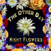 Night Flowers